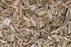 biomass boilers Packmores